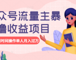 公众号流量主暴利撸收益项目,空闲时间操作单人月入过万-网赚项目众筹网