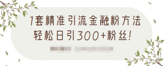 1套精准引流金融粉方法，轻松日引300+粉丝-网赚项目众筹网