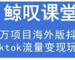 鲸叹号·海外TIKTOK训练营，百万项目海外版抖音tiktok流量变现玩法-网赚项目众筹网