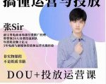 张sir的dou+投放运营课:搞懂运营与投放,全面提升账号的流量运营效率-网赚项目众筹网