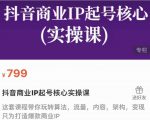抖音商业IP起号核心实操课，带你玩转算法，流量，内容，架构，变现-网赚项目众筹网