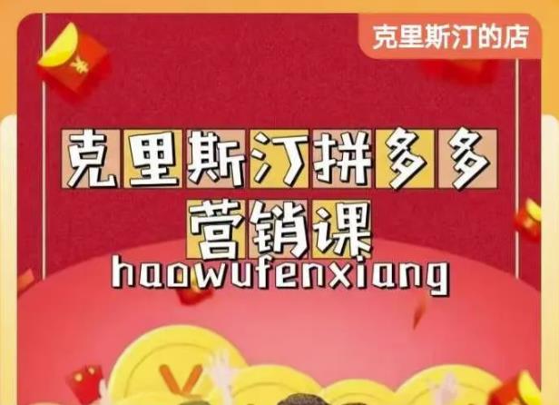 克里斯汀拼多多运营课，适合小白初涉平台，低成本入门-网赚项目众筹网