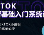 Tiktok实操进阶课程,体验从tiktok小透明到大佬的完美蜕变-网赚项目众筹网
