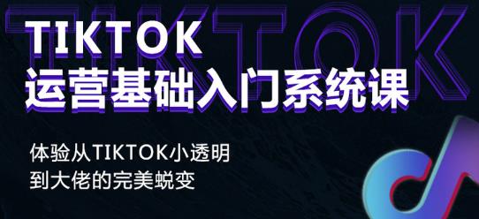 Tiktok实操进阶课程，体验从tiktok小透明到大佬的完美蜕变-网赚项目众筹网