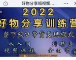 萌飞好物·2022抖音好物分享训练营,当下风口带货变现模式,从入门到精通-网赚项目众筹网