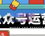 零零已久·从0-1运营公众号,零基础小白也能上手,系统性了解公众号运营-网赚项目众筹网