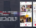 麦子互娱短视频带货·0基础做好物分享账号，无需出镜无需货源无需拍摄-网赚项目众筹网