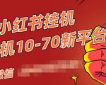 视频号小红书抖音挂机项目,小白无脑操作,按照要求来,单号每天几十米-网赚项目众筹网