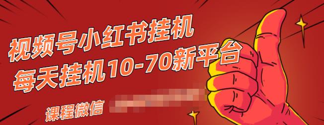 视频号小红书抖音挂机项目，小白无脑操作，按照要求来，单号每天几十米-网赚项目众筹网