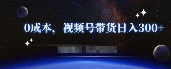 零基础视频号带货赚钱项目，0成本0门槛轻松日入300+【视频教程】-网赚项目众筹网