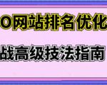 樊天华·SEO网站排名优化实战高级技法指南,让客户找到你-网赚项目众筹网