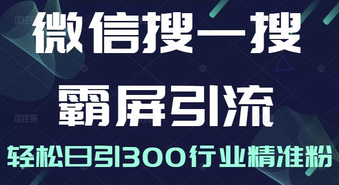 微信搜一搜霸屏引流课，打造被动精准引流系统，轻松日引300行业精准粉-网赚项目众筹网