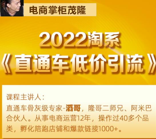 茂隆2022直通车低价引流玩法，教大家如何低投入高回报的直通车玩法-网赚项目众筹网