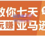 晟尧跨境·教你七天玩赚亚马逊,教你轻松玩赚亚马逊,适合小白学习-网赚项目众筹网