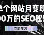单个网站月变现100万的SEO秘密,百分百做出赚钱站点-网赚项目众筹网