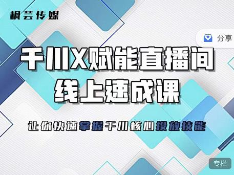 枫芸传媒-线上千川提升课，提升千川认知，提升千川投放效果-网赚项目众筹网
