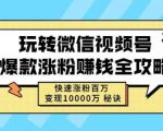 玩转微信视频号爆款涨粉赚钱全攻略,快速涨粉百万变现万元秘诀-网赚项目众筹网
