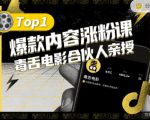 【毒舌电影合伙人亲授】抖音爆款内容涨粉课,5000万抖音大号首次披露涨粉机密-网赚项目众筹网