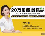 叶小鱼21天短视频文案拆书营，学完轻松搞定各类书单短视频文案-网赚项目众筹网