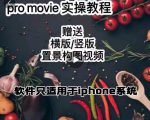 漆十二美食摄影,25节promovie实操高手课节-网赚项目众筹网