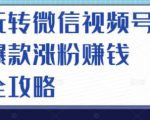 玩转微信视频号爆款涨粉赚钱全攻略,让你快速抓住流量风口,收获红利财富-网赚项目众筹网