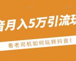 老古董·抖音月入5万引流玩法,看看老司机如何玩转抖音(附赠:抖音另类引流思路)-网赚项目众筹网