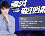 张sir·垂类变现课,抖音带货新手才看粉丝量,高手都看变现效率-网赚项目众筹网
