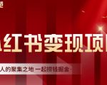渣圈学苑·小红书虚拟资源变现项目，一起捞钱掘金价值1099元-网赚项目众筹网