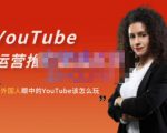 外国人眼中的YouTube该怎么玩？Elisa·YouTube运营推广实战技巧-网赚项目众筹网