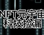 【元本空间sky七级空间唯一ibox幻藏等】NTF捡漏合集【抢购脚本+教程】-网赚项目众筹网