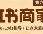 贾真-小红书商家营第6期商家版,21天带货陪跑课,让商家丢掉付流量-网赚项目众筹网