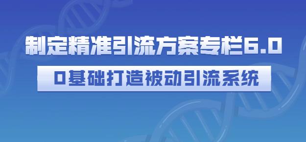 制定精准引流方案专栏6.0，0基础打造被动引流系统-网赚项目众筹网