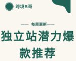 【跨境B哥】独立站潜力爆款选品推荐，测款出单率高达百分之80-网赚项目众筹网