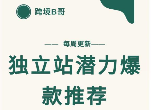 【跨境B哥】独立站潜力爆款选品推荐，测款出单率高达百分之80-网赚项目众筹网