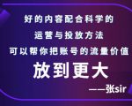 张sir账号流量增长课,告别海王流量,让你的流量更精准-网赚项目众筹网