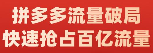 阿杰·拼多多流量破局:如何打黑标，爆款的思路，拼多多流量框架，快速抢占百亿流量-网赚项目众筹网