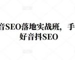 王通·抖音SEO落地实战班,手手带你做好音抖SEO-网赚项目众筹网