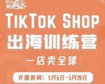 疯人院:TikTok Shop出海训练营(一店卖全球),出海抢占全球新流量-网赚项目众筹网