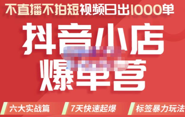 推易电商·2022年抖音小店爆单营，不直播、不拍短视频、日出1000单，暴力玩法-网赚项目众筹网