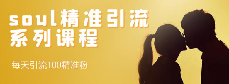 soul精准引流系列课程，每天引流100精准粉-网赚项目众筹网