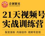张萌21天视频号实战训练营,裂变涨粉、内容创作、视频号变现 价值298元-网赚项目众筹网