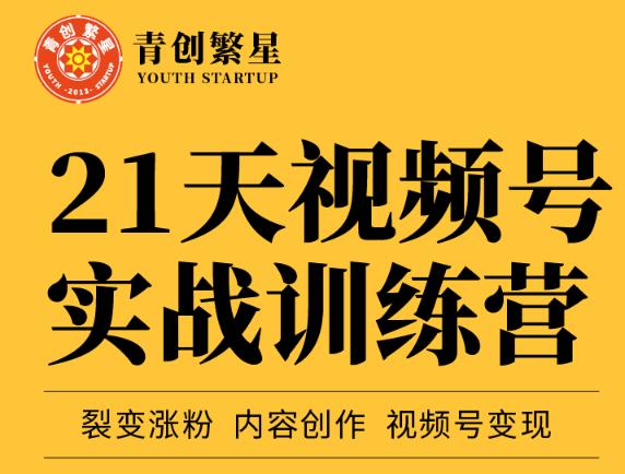 张萌21天视频号实战训练营，裂变涨粉、内容创作、视频号变现 价值298元-网赚项目众筹网