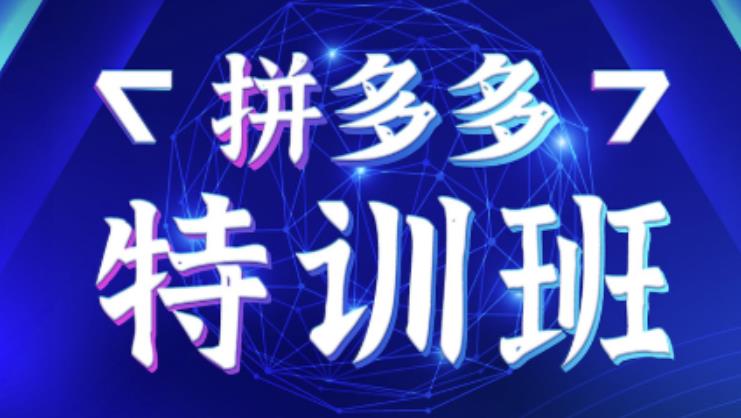 星雪教育·拼多多基础班+进阶班+突破班，用系统的学习模式快速改变现状价值3580元-网赚项目众筹网