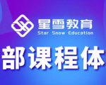星雪教育淘系高级班，更全的运营提升方案，零基础由浅入深，店铺最新玩法-网赚项目众筹网