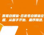 凯哥自媒体·百家号自媒体全套实战赚钱教程,从新手开始,循序渐进,系统的讲解-网赚项目众筹网