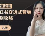 苏歆:小红书穿透式营销收割攻略,引爆流量,助你玩转小红书-网赚项目众筹网