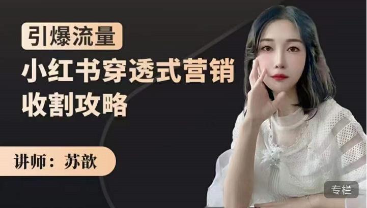 苏歆：小红书穿透式营销收割攻略，引爆流量，助你玩转小红书-网赚项目众筹网