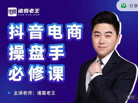 诸葛老王-抖音电商操盘手必修课：顶层设计，​起号破局，爆款运营，数据分析-网赚项目众筹网
