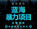 引流哥蓝海暴力躺赚项目:无需发圈无需引流无需售后,每单赚50-500(教程+线报群)-网赚项目众筹网