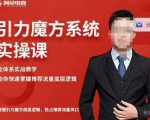 阿呆-引力魔方系统实操课,全体系实战教学,助你快速掌握推荐流量底层逻辑-网赚项目众筹网